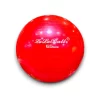 Balón pilates caucho 65