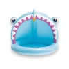PISCINA PEZ