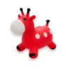 Burro Burro inflable