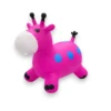 Burro Burro inflable